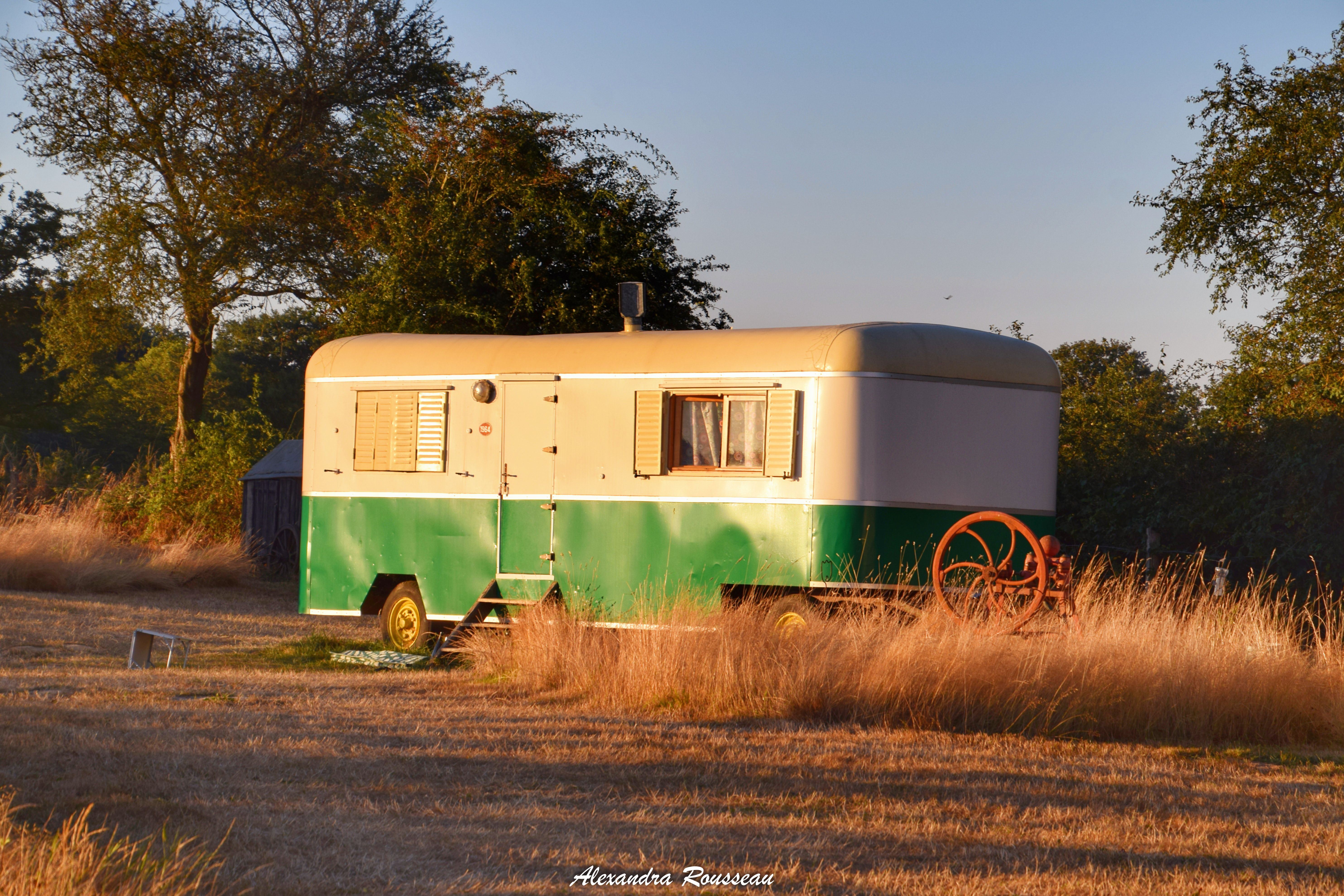 Manoir du Bois Joly - Roulotte Vintage, Arcisses - photo 17