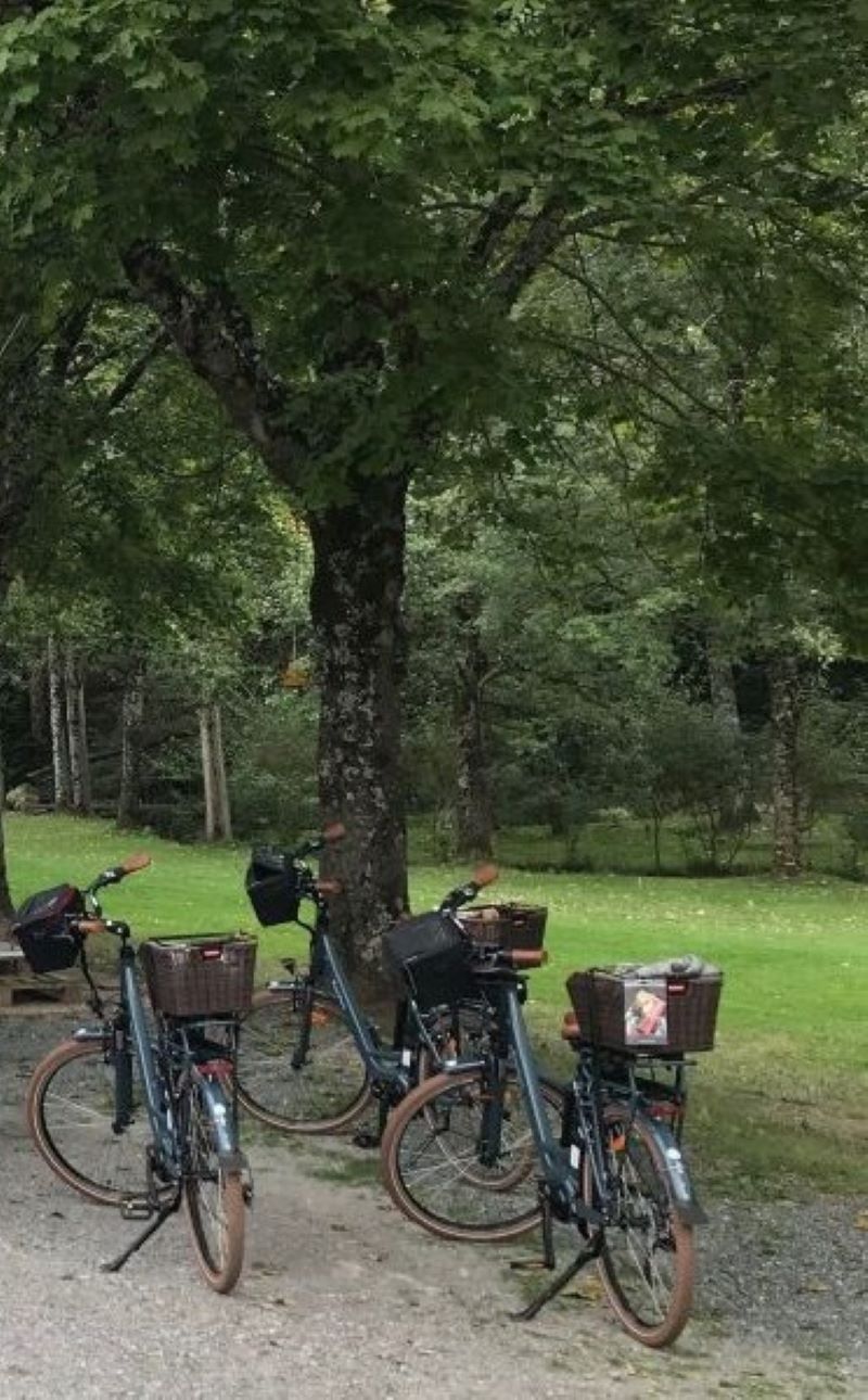 Location de vélos à assistance électrique