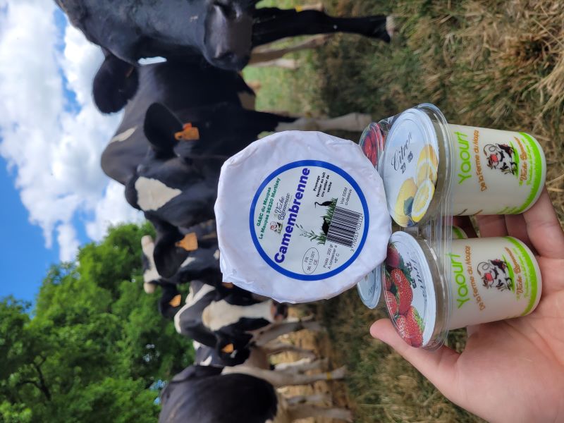 Ferme du Maupas La Vache Brennouse