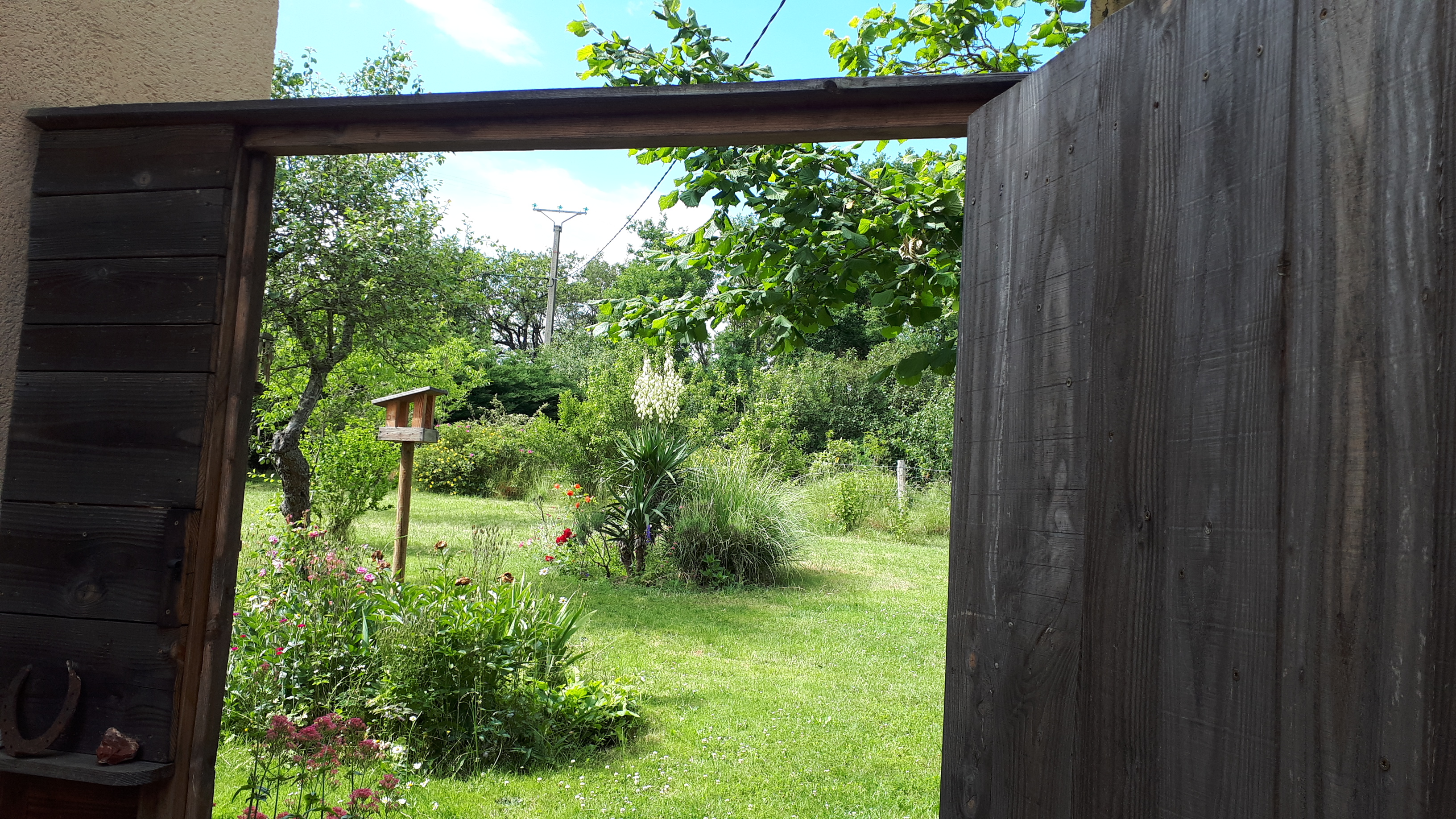 Les Myosotis en Berry, Celon - photo 11