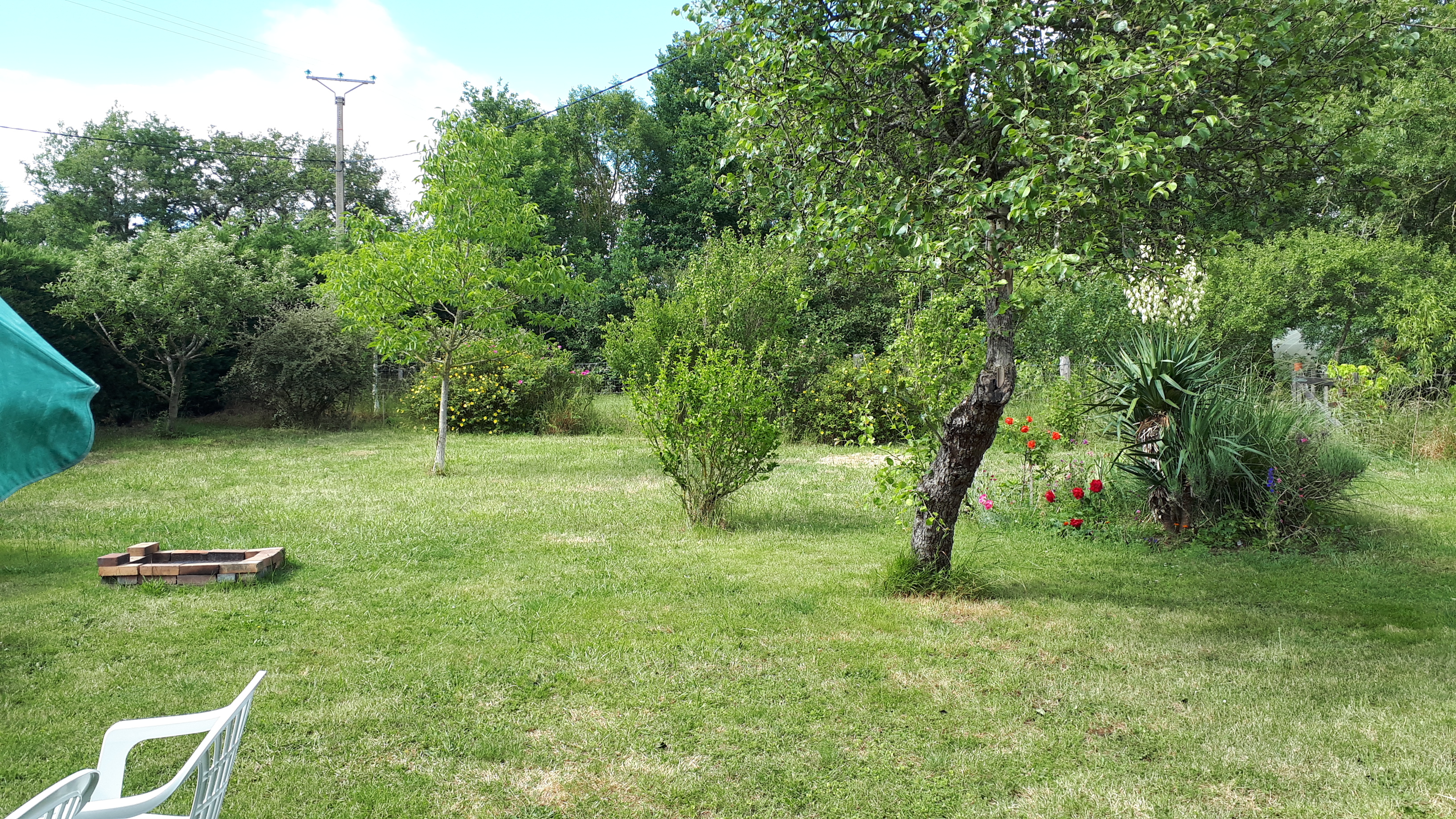 Les Myosotis en Berry, Celon - photo 14