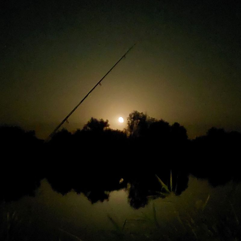 Pêche aux étangs du  domaine Coeur de Brenne, Saint-Michel-en-Brenne - photo 5