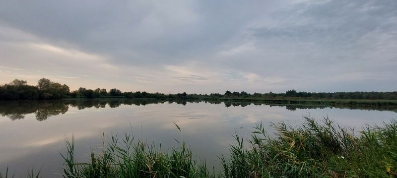 Pêche aux étangs du  domaine Coeur de Brenne, Saint-Michel-en-Brenne - photo 2