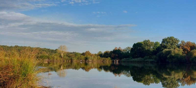 Pêche aux étangs du  domaine Coeur de Brenne, Saint-Michel-en-Brenne
