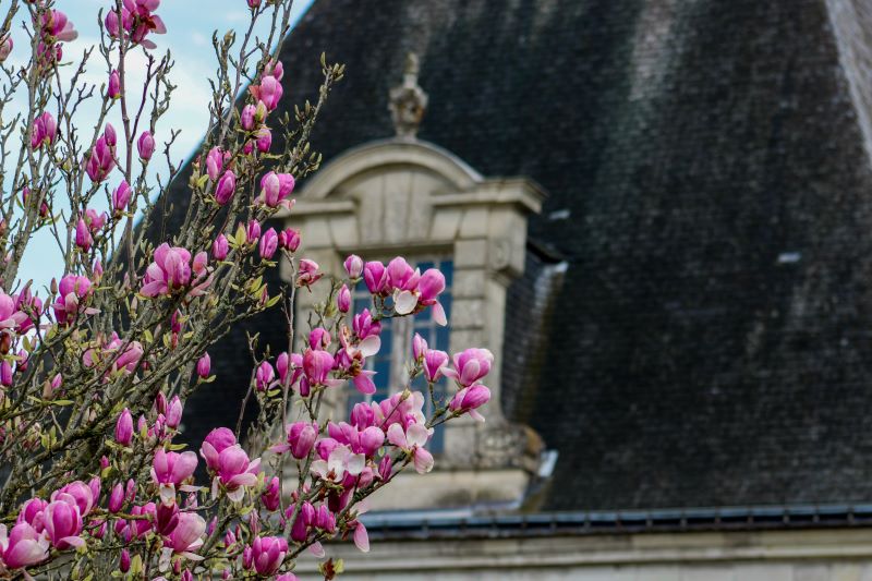 Château, parc et jardins d'Azay-le-Ferron