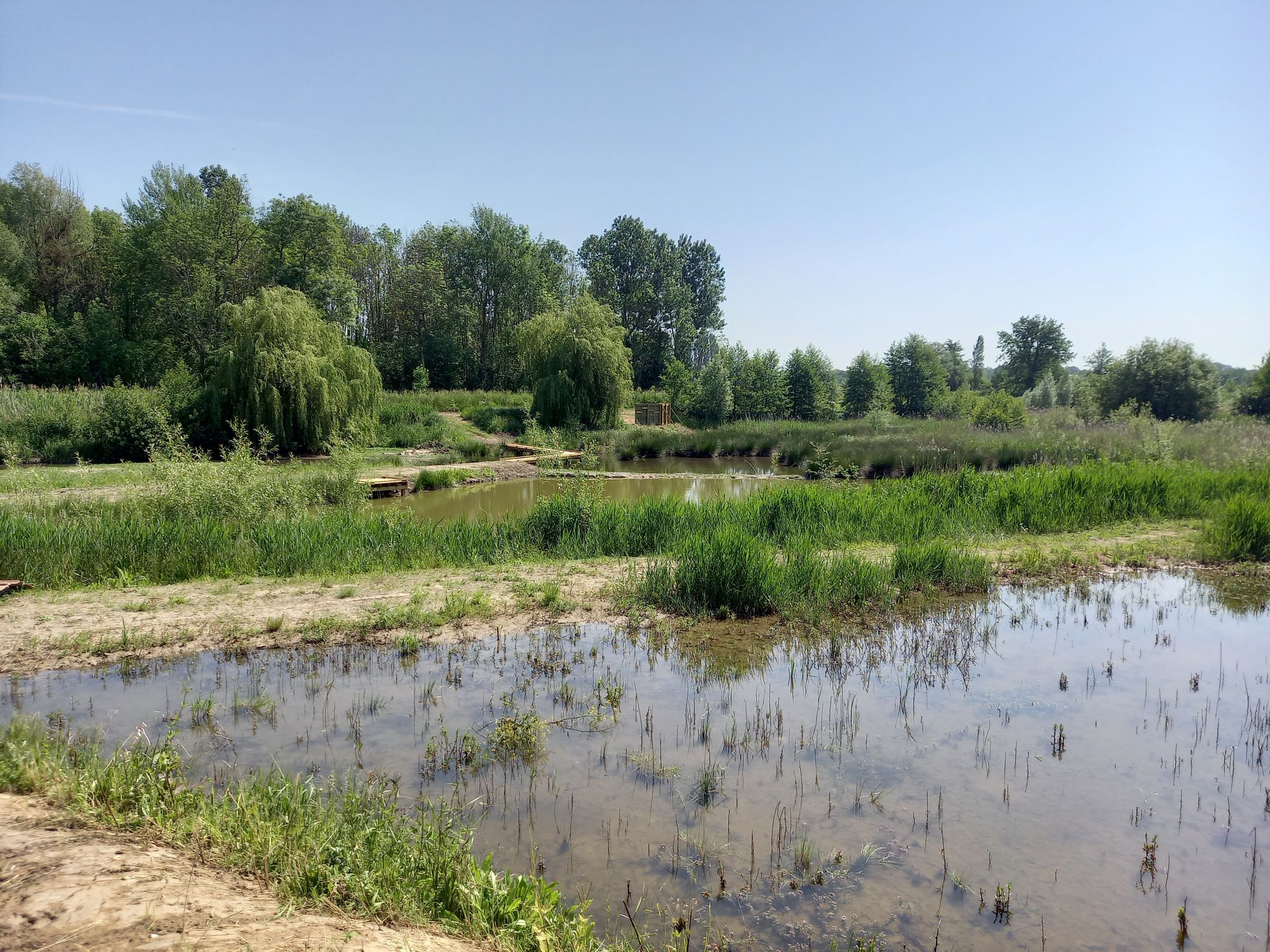 Espace naturel sensible des Pâtureaux, Chambon-la-Forêt - photo 5