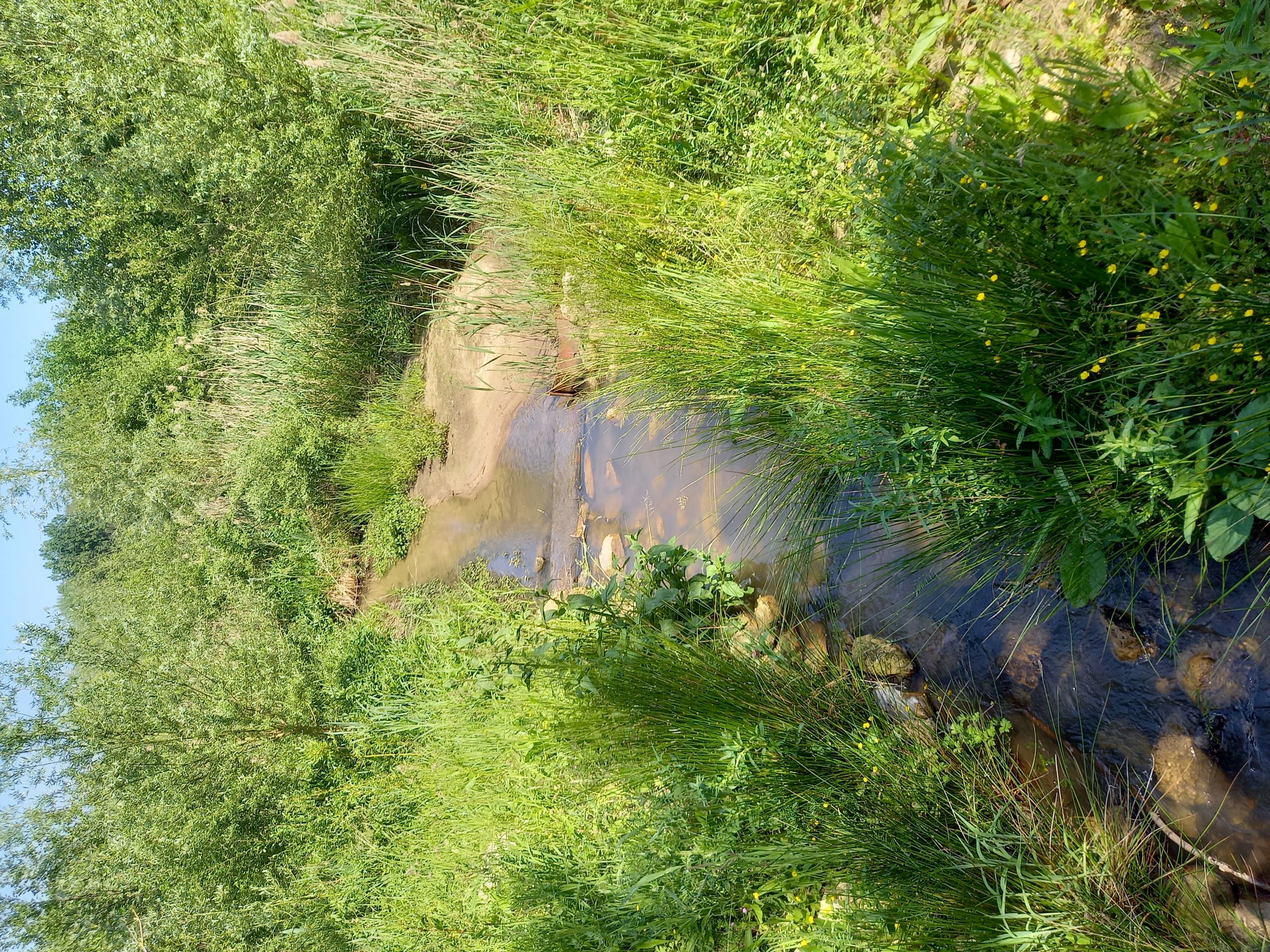 Espace naturel sensible des Pâtureaux, Chambon-la-Forêt