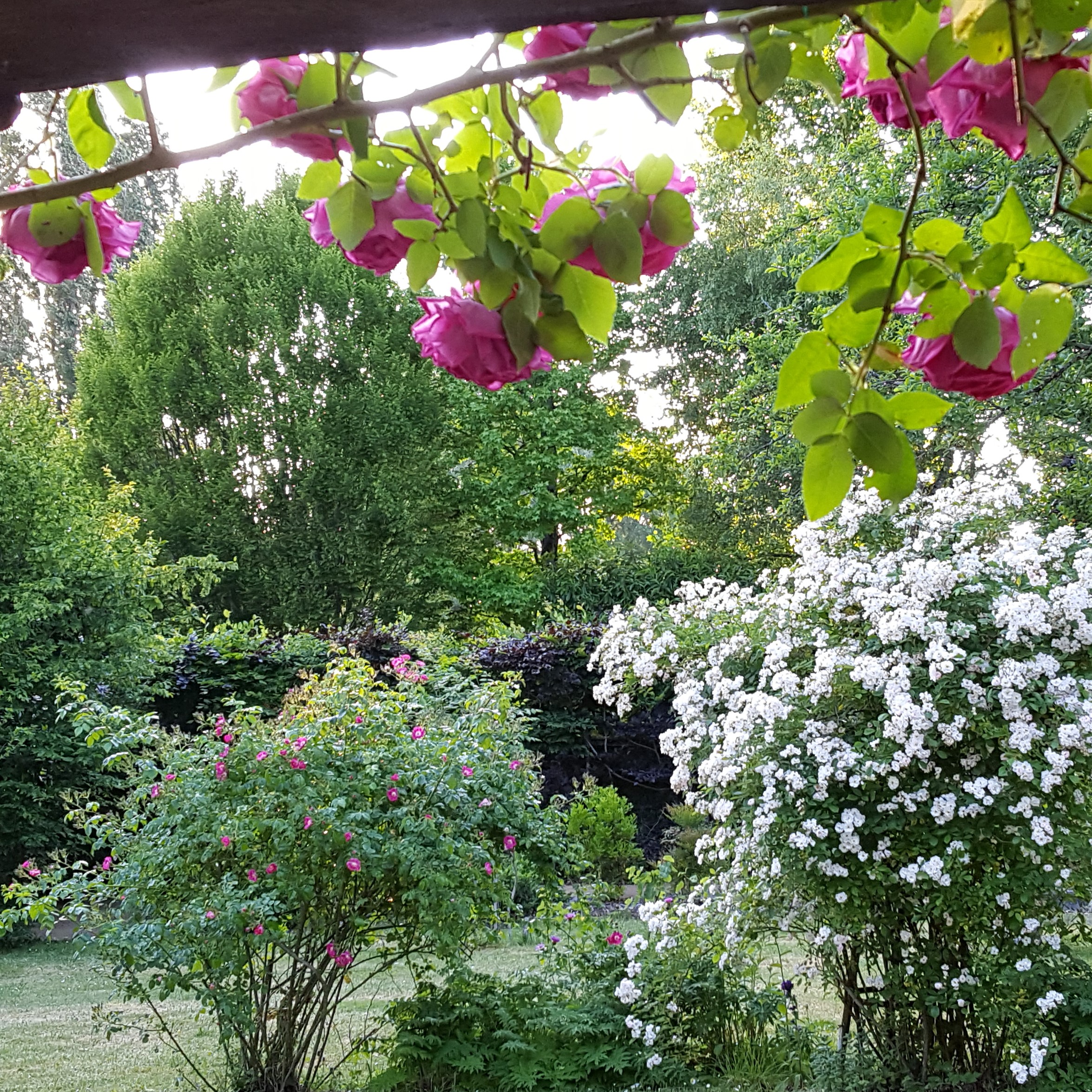 Gîte au jardin de grand-père, Le Controis-en-Sologne - photo 9