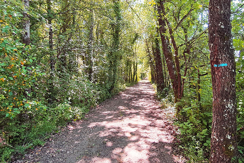 Le circuit panoramique, Paulmy - photo 4