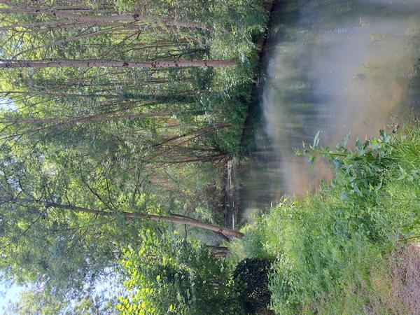 Pêche dans la Théols