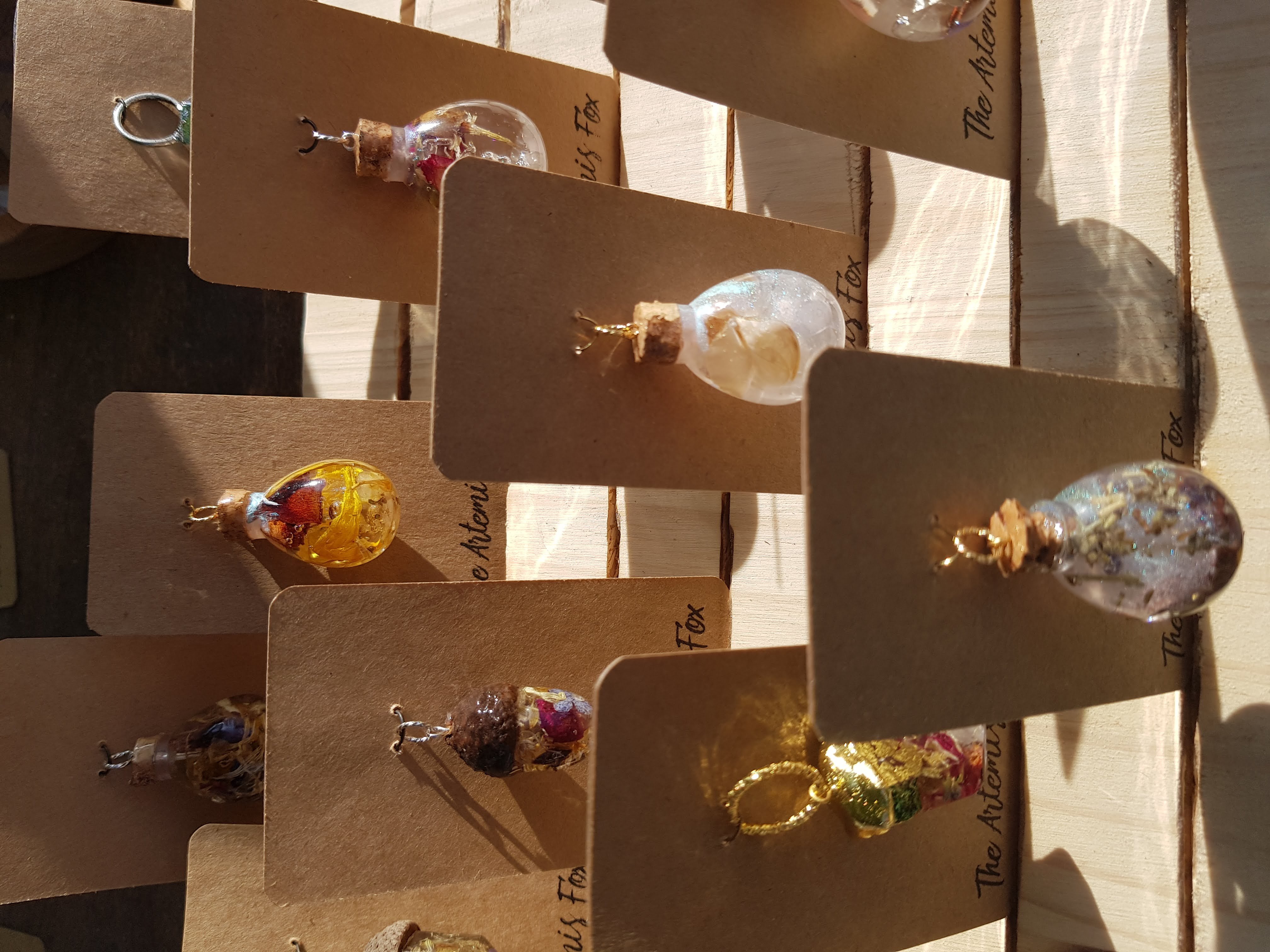 The Artemis Fox, Beauchamps-sur-Huillard