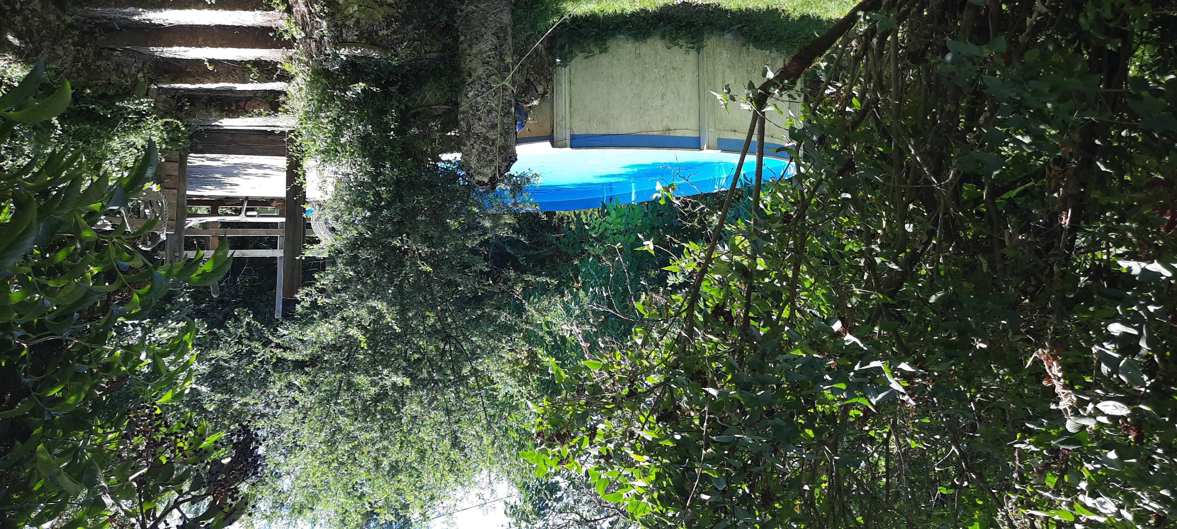 Ferme d'Hélice Gîtes et camping Accueil Paysan, Sarzay - photo 4