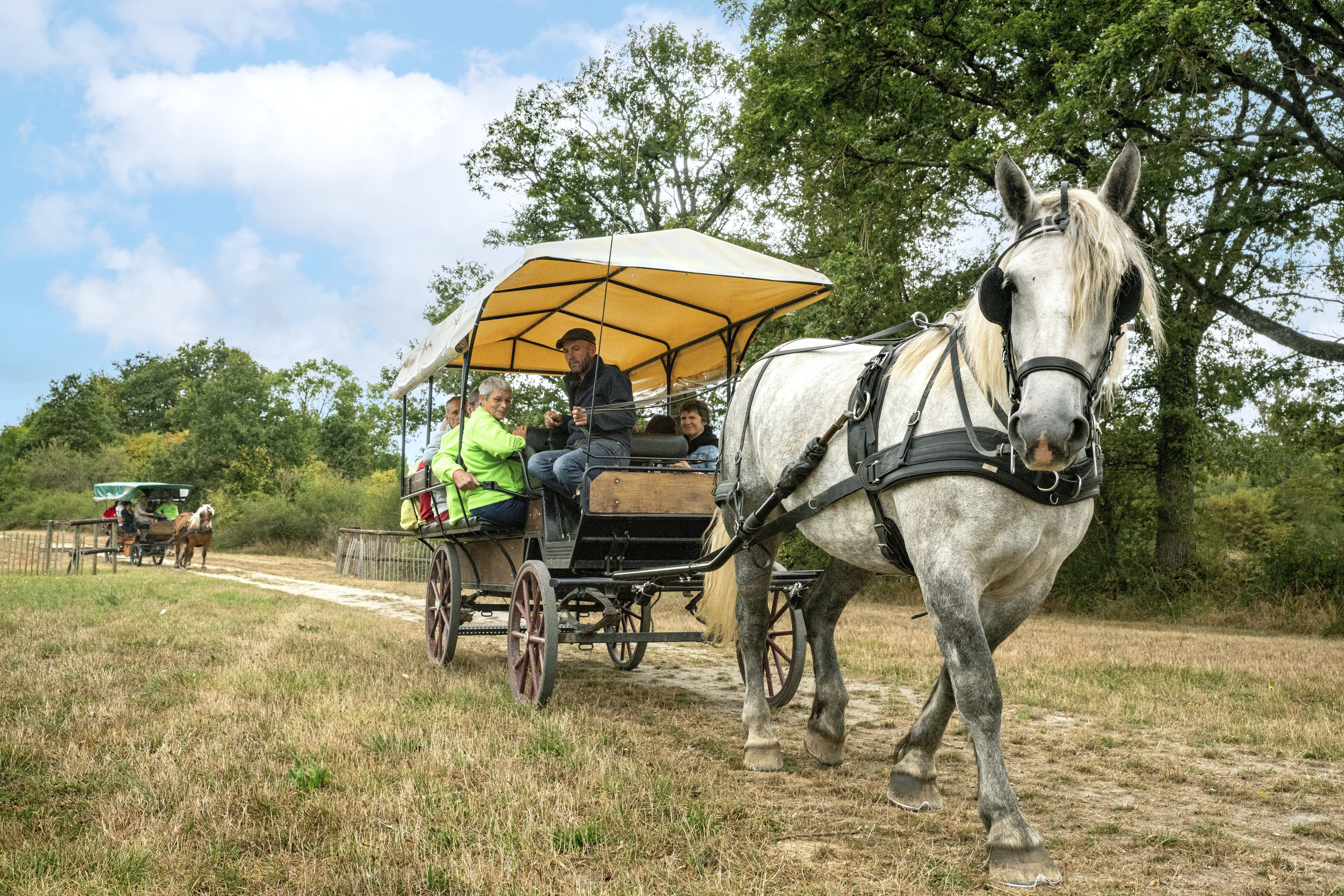 Pôle du Cheval et de l'Âne
