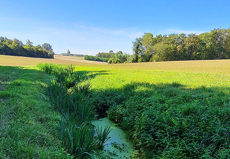 Le sentier du Bois de La Roche Bellin