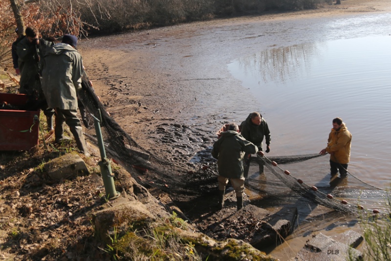 Découverte commentée d'une pêche d'étang