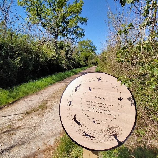 Sur les traces de la Brenne (Réserve Naturelle Régionale Massé-Foucault), Rosnay - photo 6