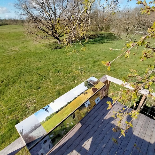 Sur les traces de la Brenne (Réserve Naturelle Régionale Massé-Foucault), Rosnay - photo 3