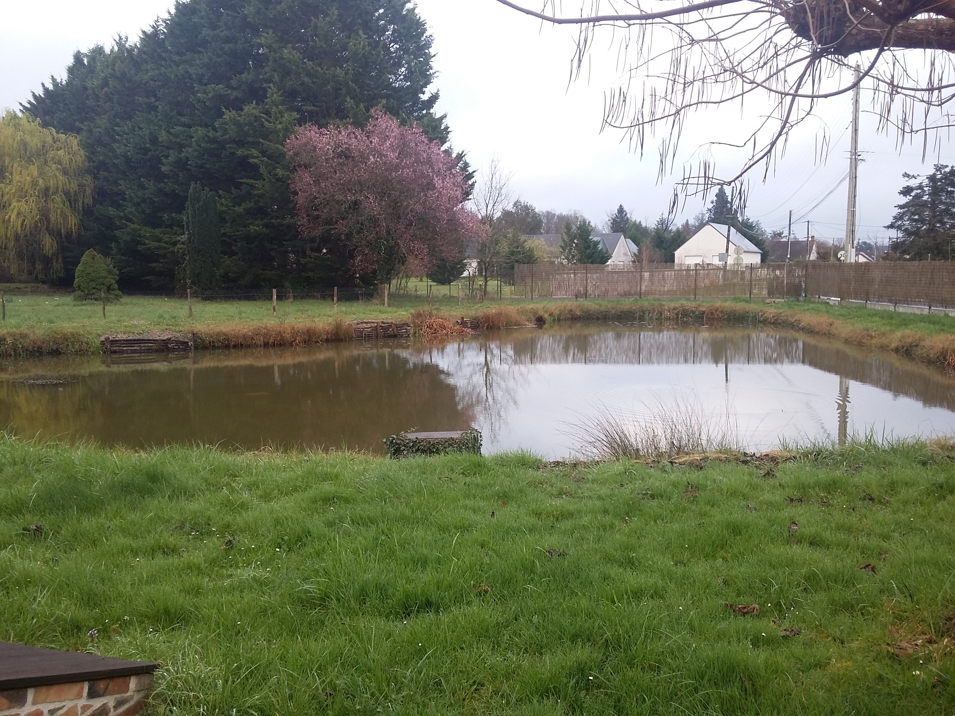 Gîte Dauguet, Selles-Saint-Denis - photo 11