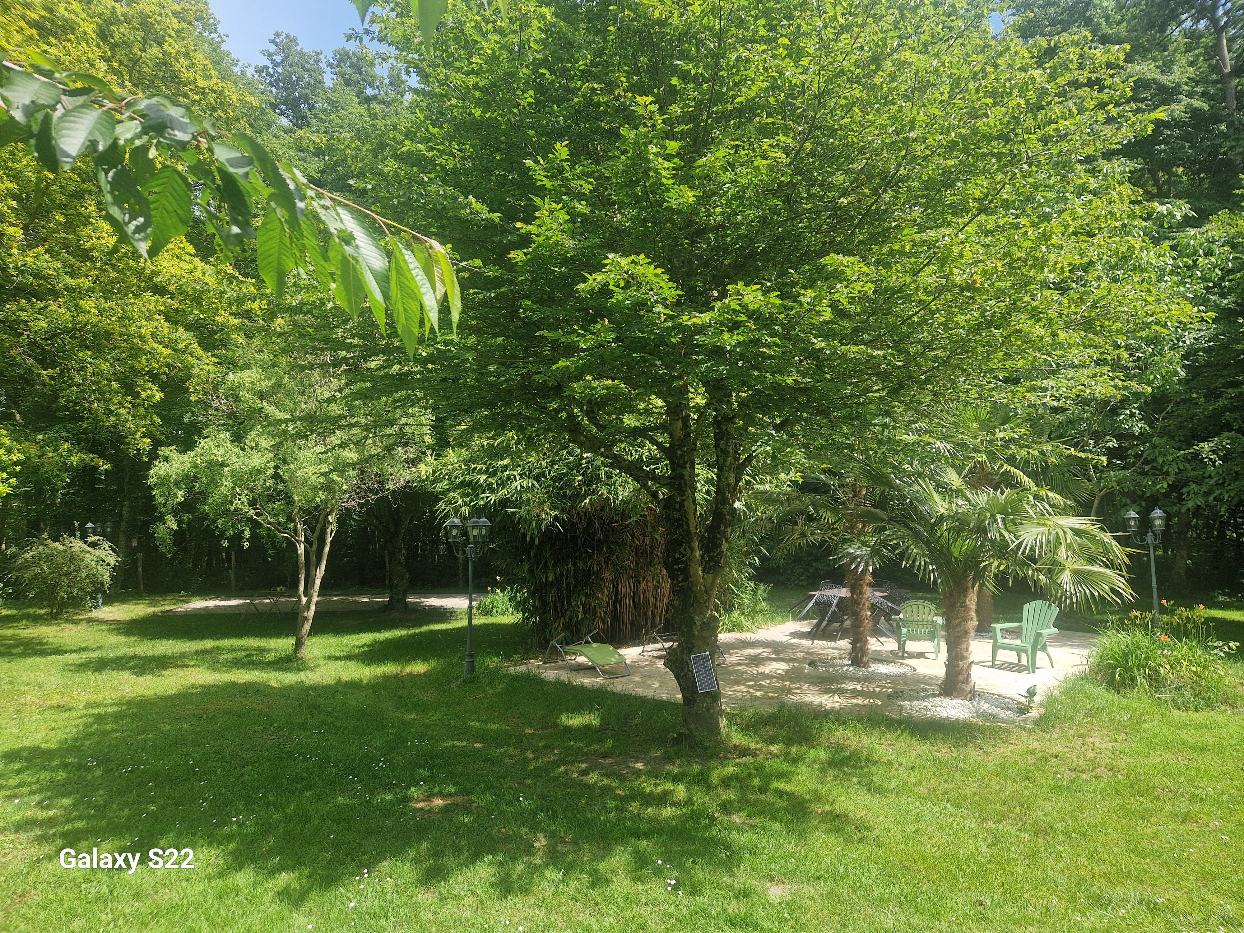 Domaine de sahil, Saint-Romain-sur-Cher - photo 10