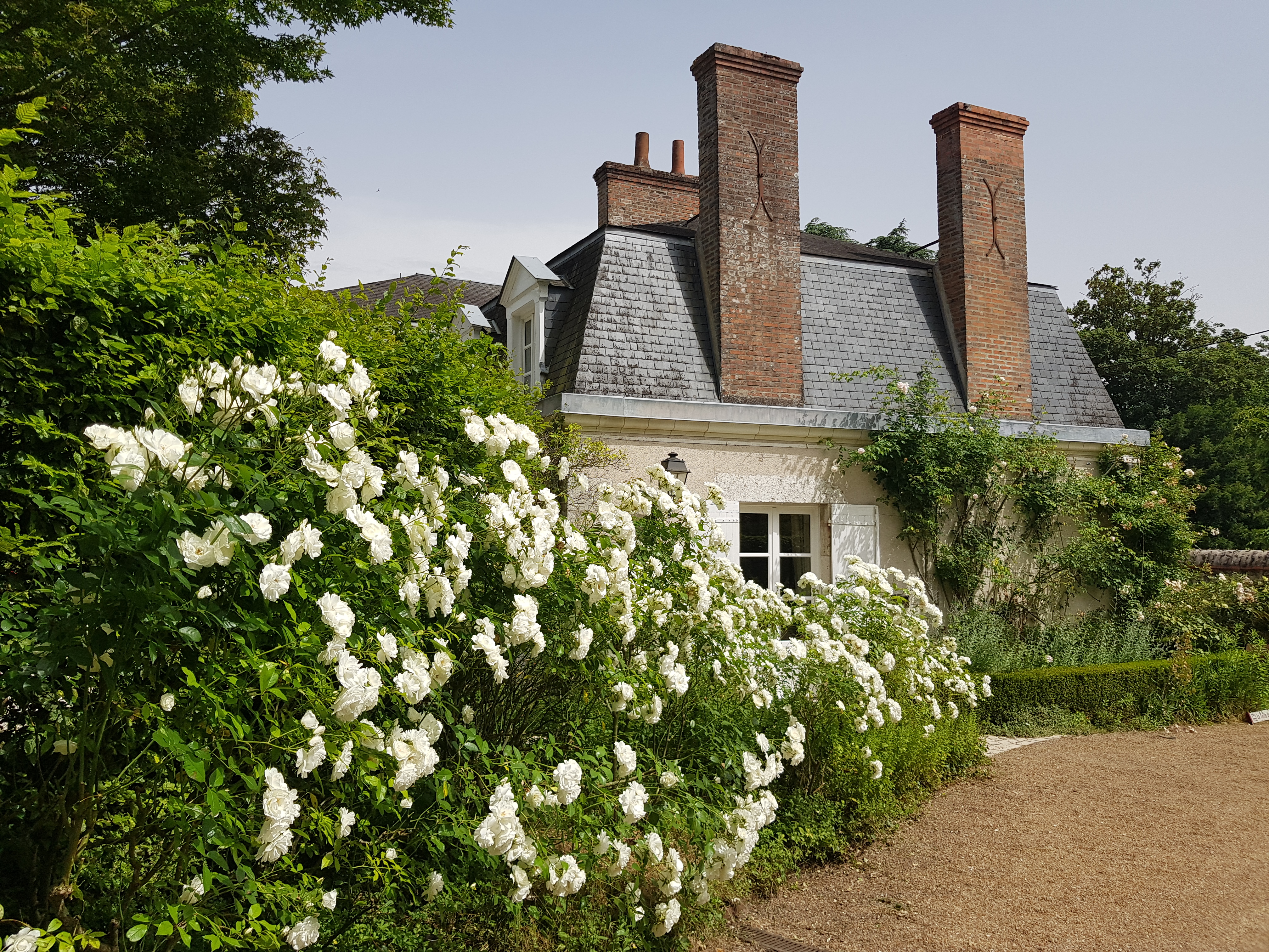 La Taille de Biou, Huisseau-sur-Cosson - photo 4