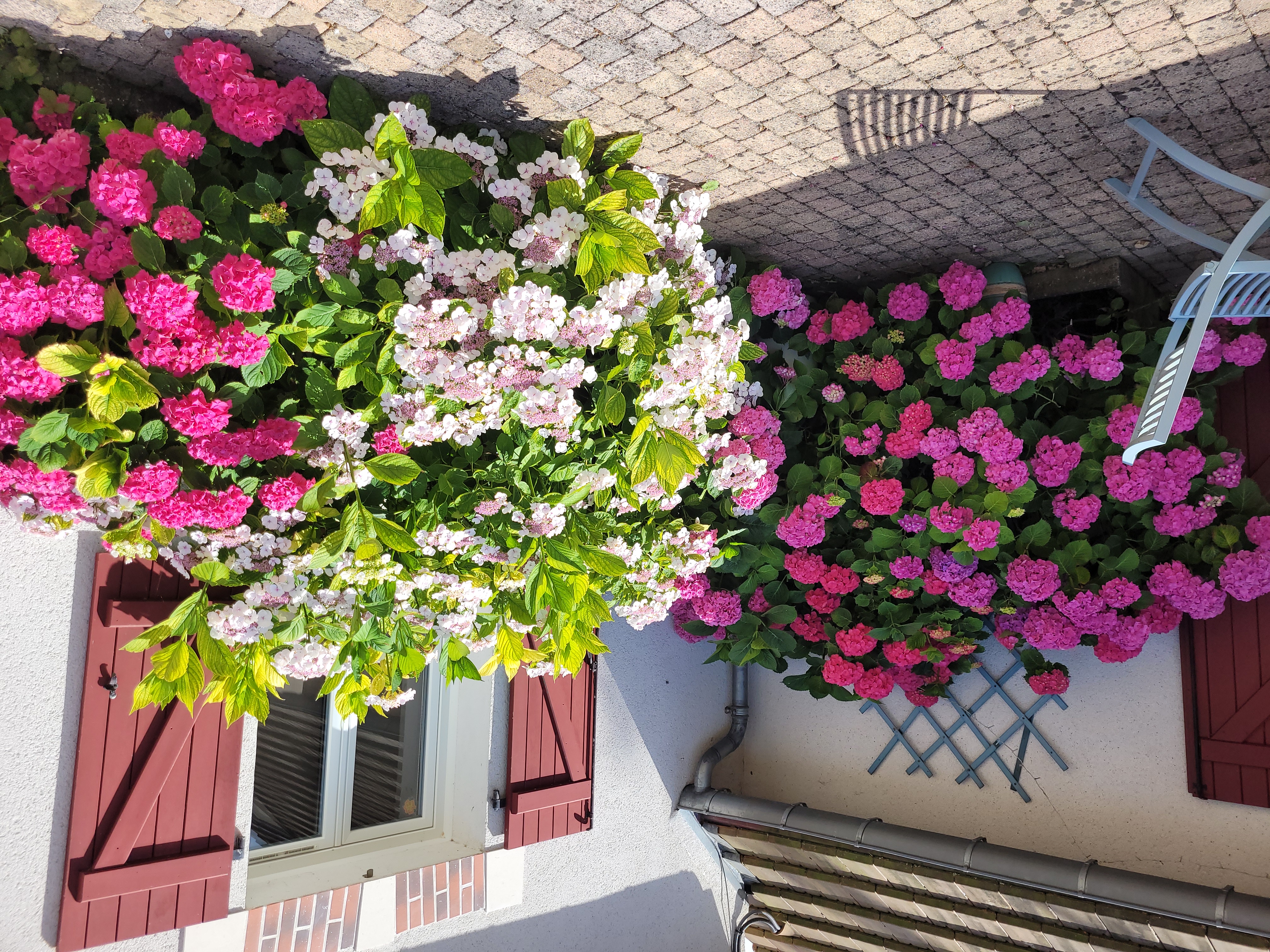 La Petite Parenthèse, Muides-sur-Loire - photo 3