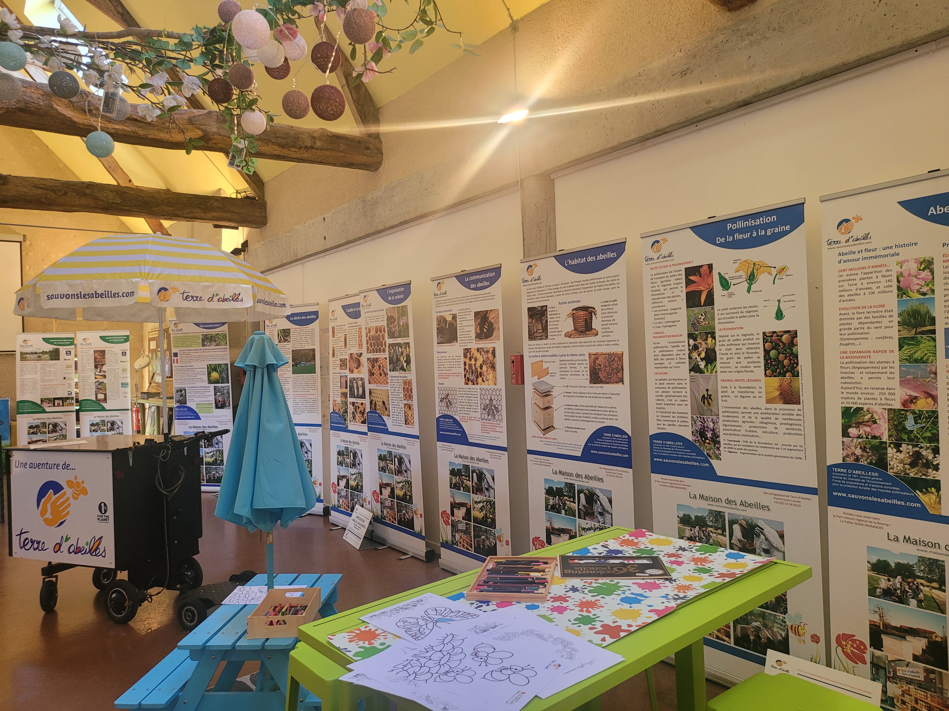 Maison des Abeilles, Ingrandes - photo 5