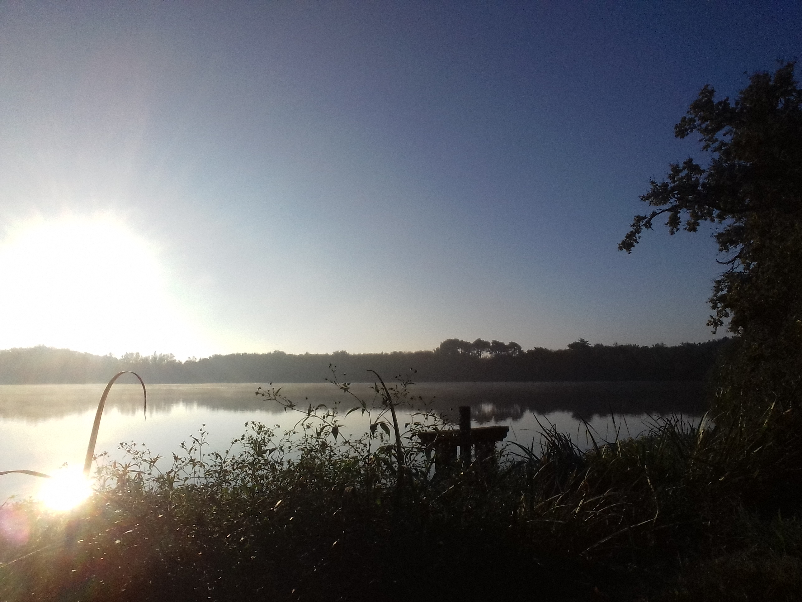 Maison des Etangs, Saint-Viâtre - photo 3