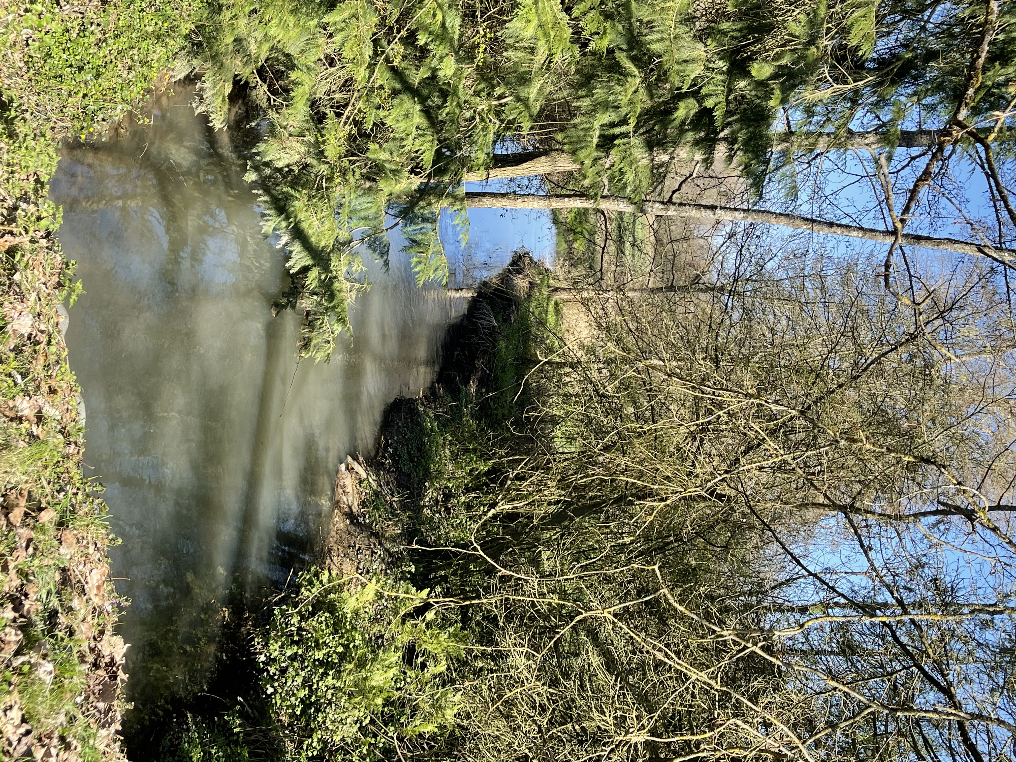 Les moulins de la Cléry