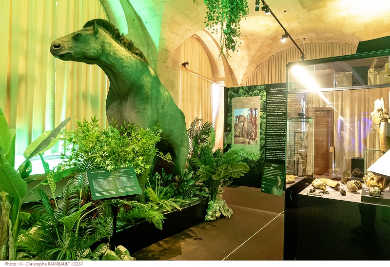 Visite guidée de l'exposition La Touraine Tropicale — visuel événement