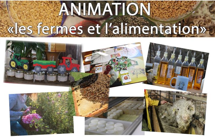 Animation de l'été "Productions locales, un lien avec le monde végétal" - photo 3