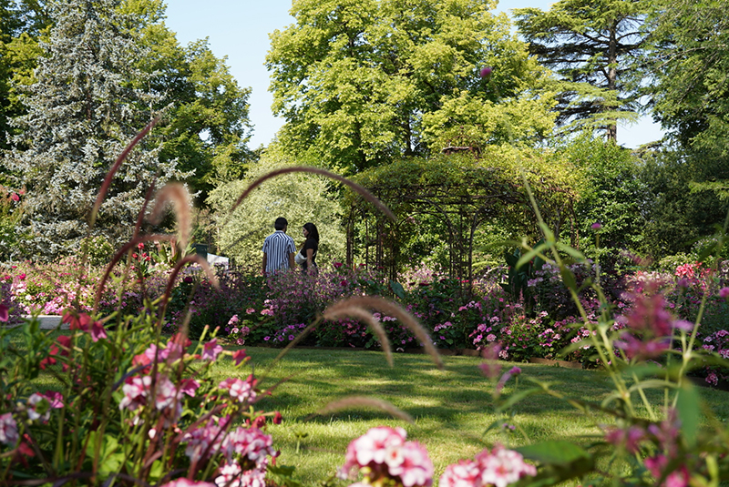 Jardin public, Châteauroux - photo 6