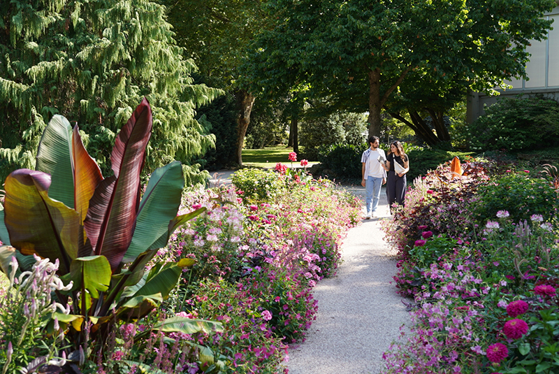 Jardin public, Châteauroux - photo 8