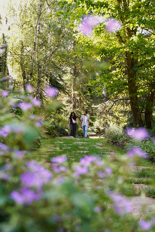 Jardin public, Châteauroux - photo 7