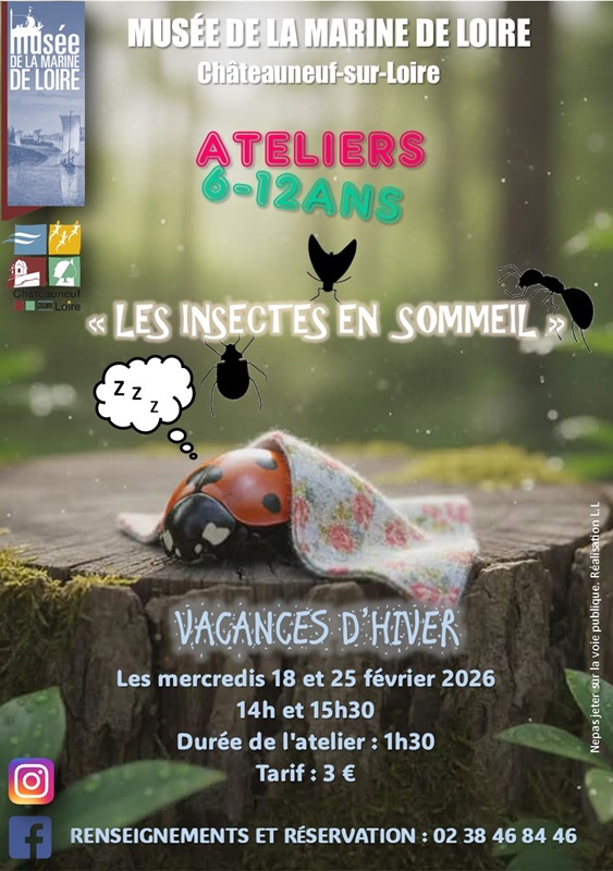 Ateliers des vacances d'hiver : Les insectes en sommeil - photo 2