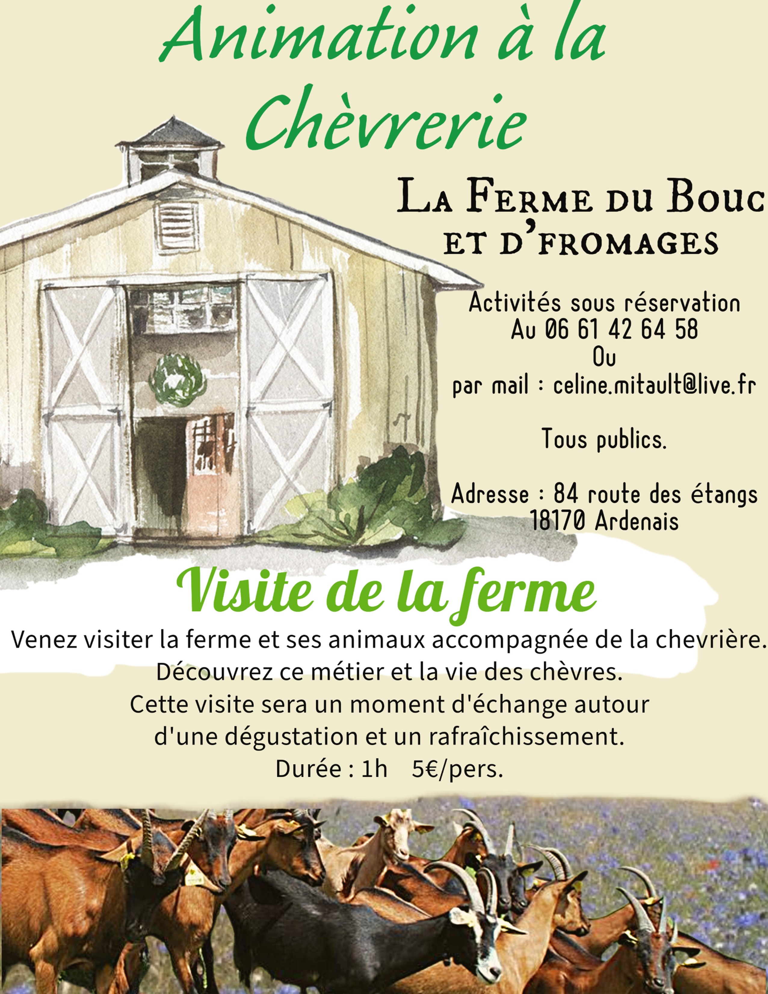 Animation à la chèvrerie du Bouc et d'fromages