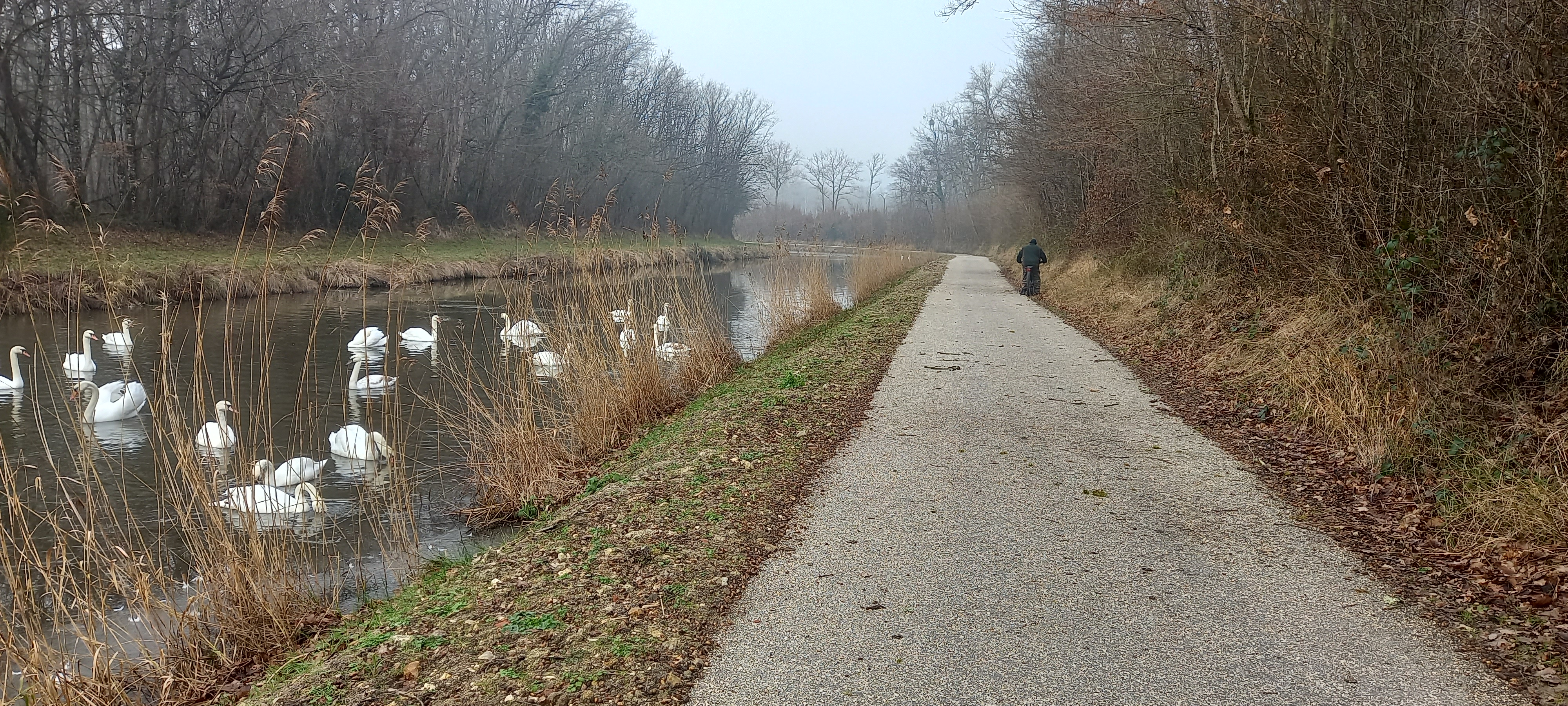 Studio du port de Grignon, Vieilles-Maisons-sur-Joudry - photo 6