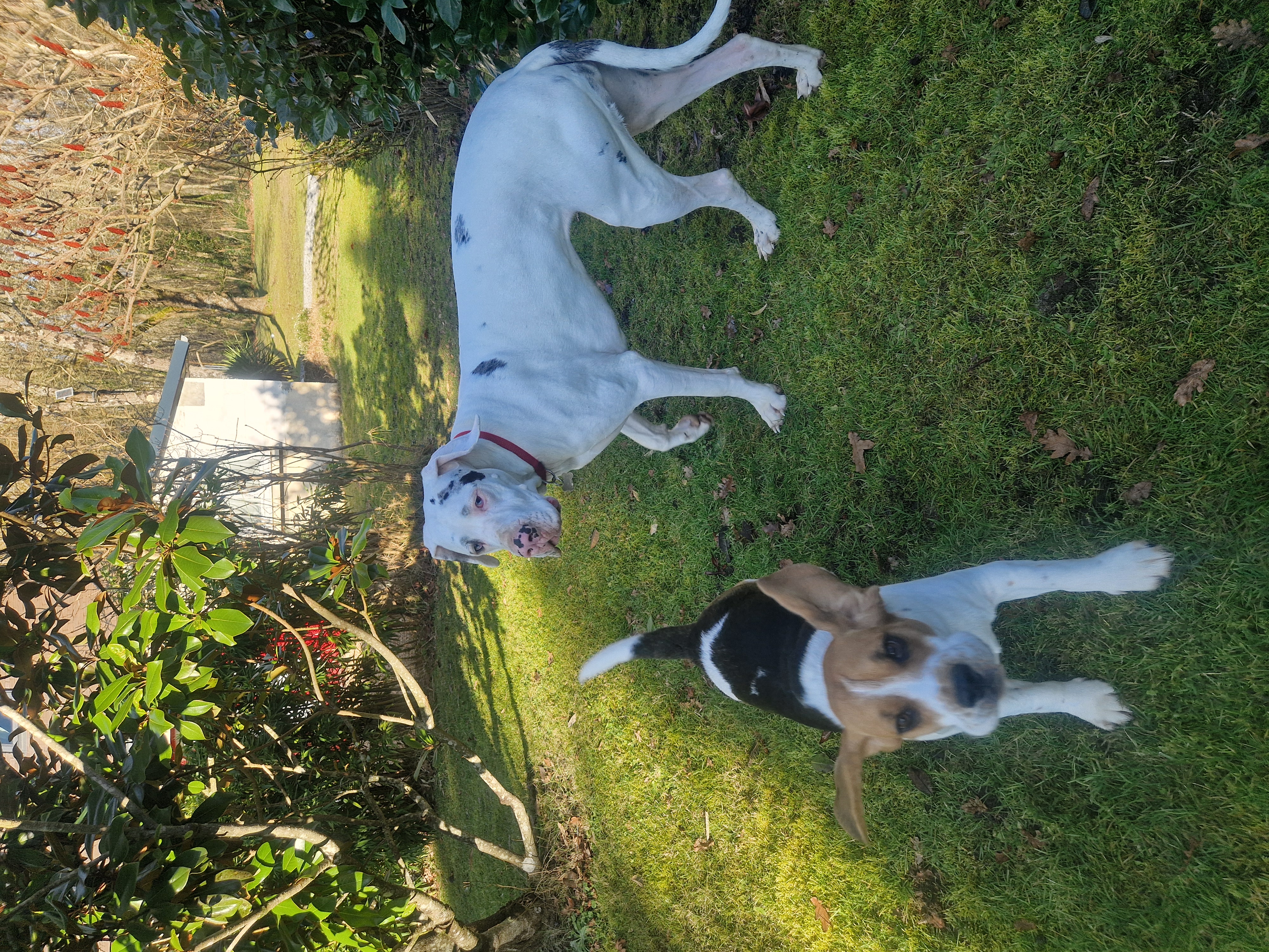 Domaine de sahil, Saint-Romain-sur-Cher - photo 9