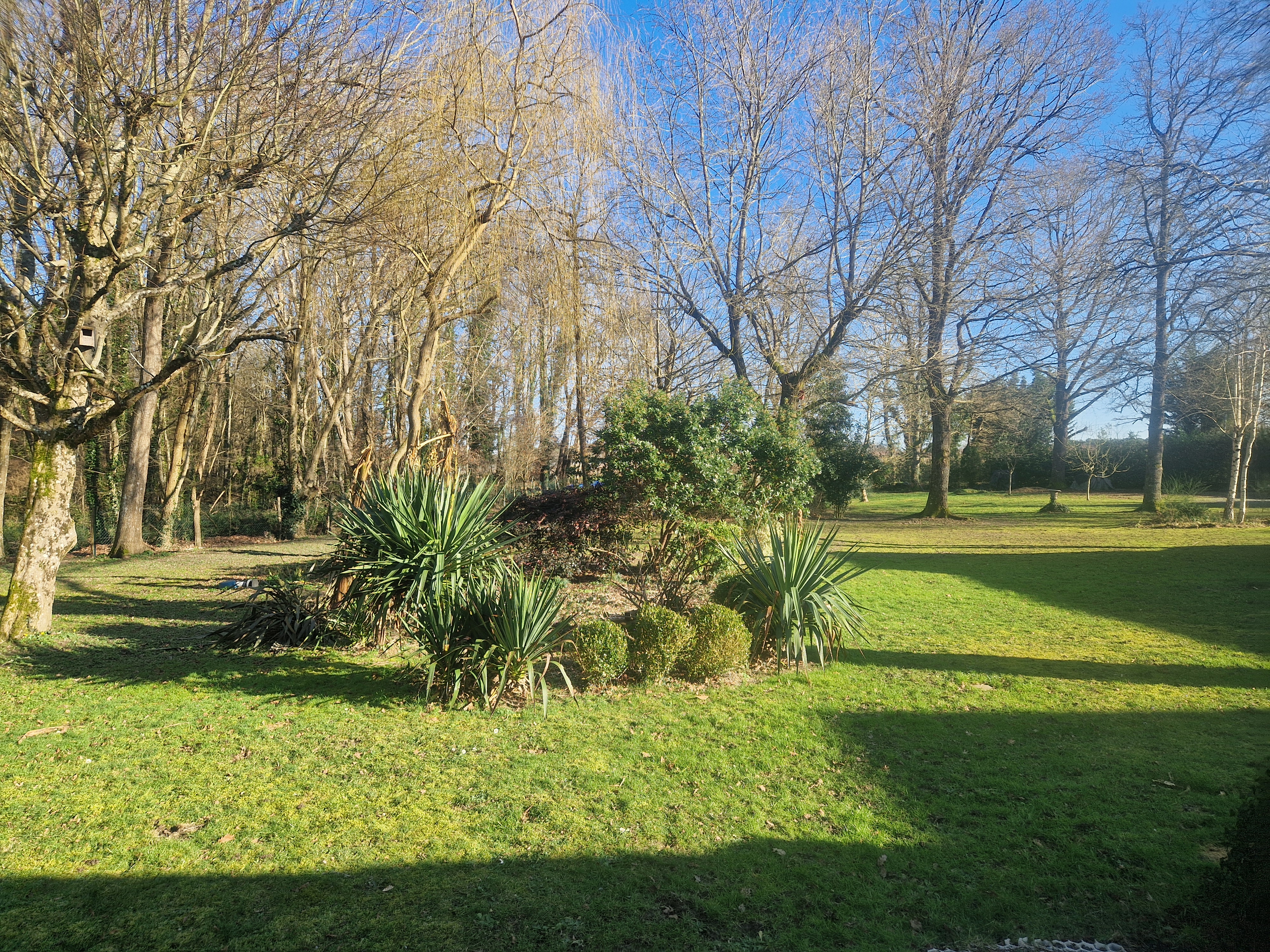 Domaine de sahil, Saint-Romain-sur-Cher - photo 6