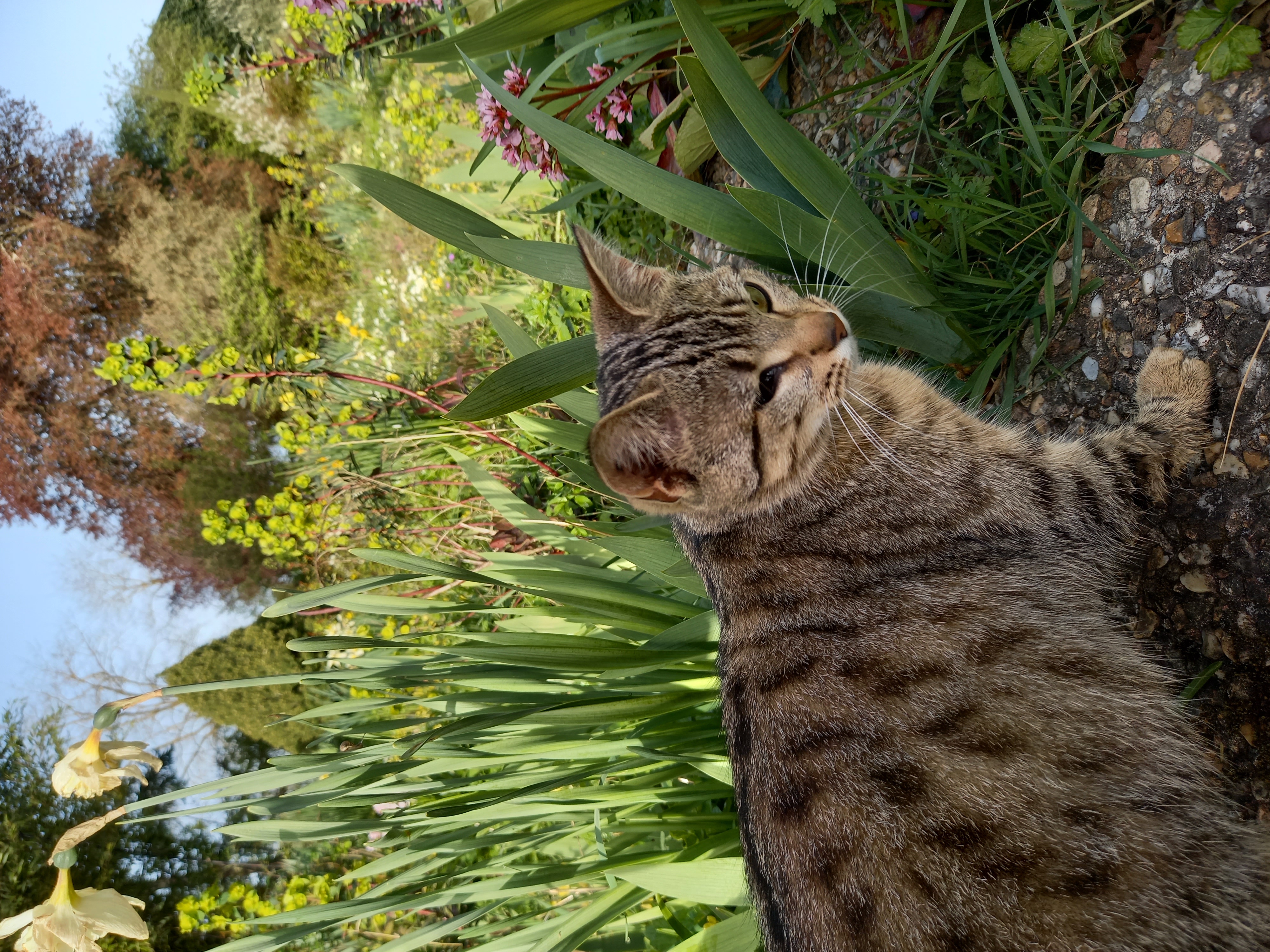 Ferme auberge de la lionnière, Mareuil-sur-Cher - photo 5