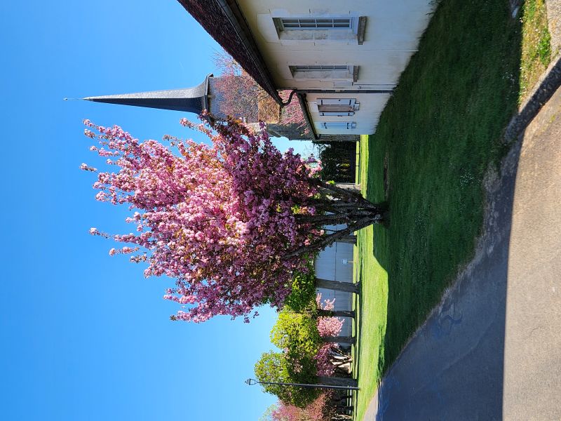 Eglise Saint-Martin