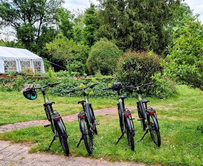 Location de vélos au "Lion de Brenne"