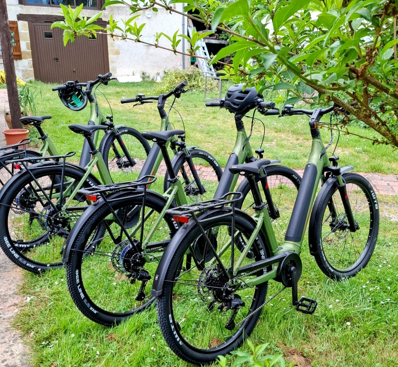 Location de vélos au "Lion de Brenne"