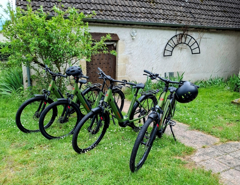 Location de vélos au "Lion de Brenne" — photo 3