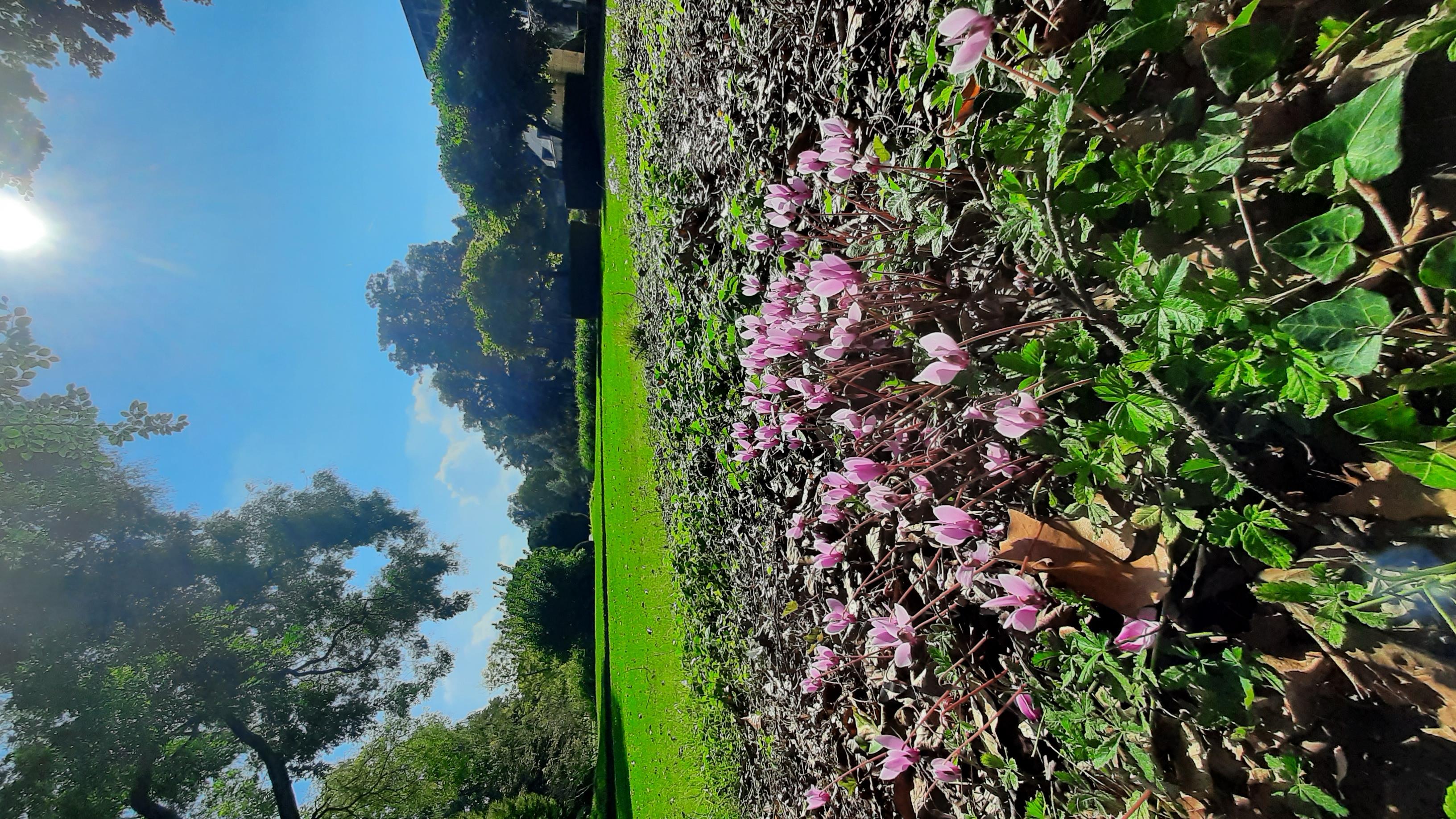 Jardin du Plessis Sasnières, Sasnières - photo 7