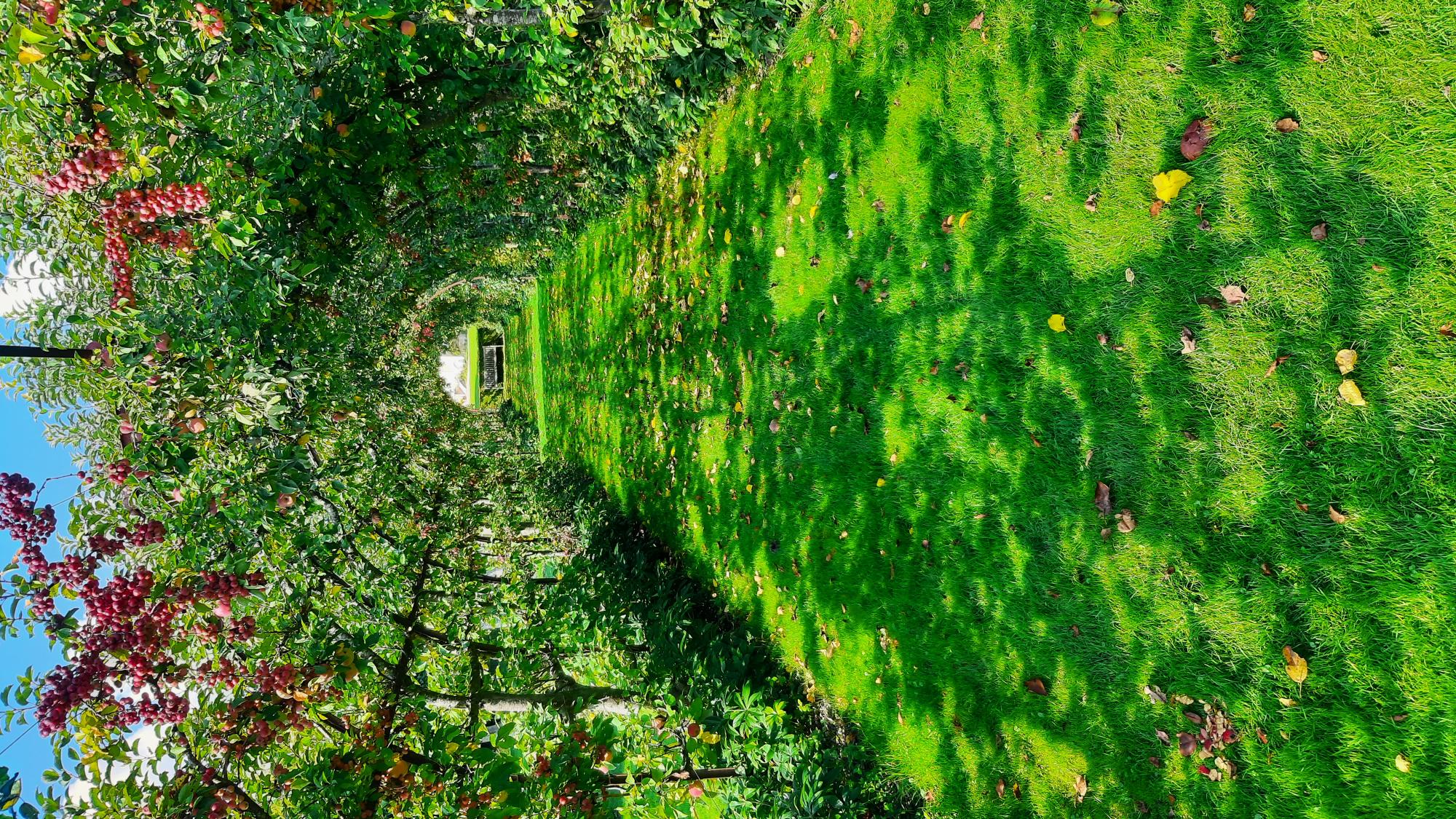 Jardin du Plessis Sasnières, Sasnières