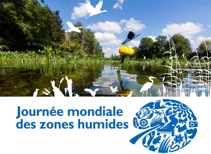 Visite et découverte d'une pisciculture