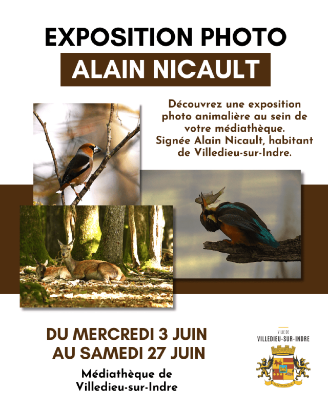 Exposition photo animalière — visuel événement