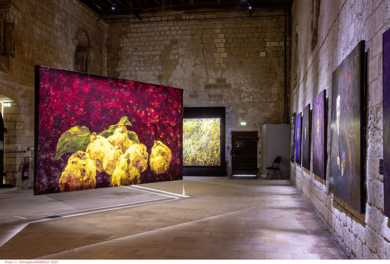 Exposition Les pas du silence