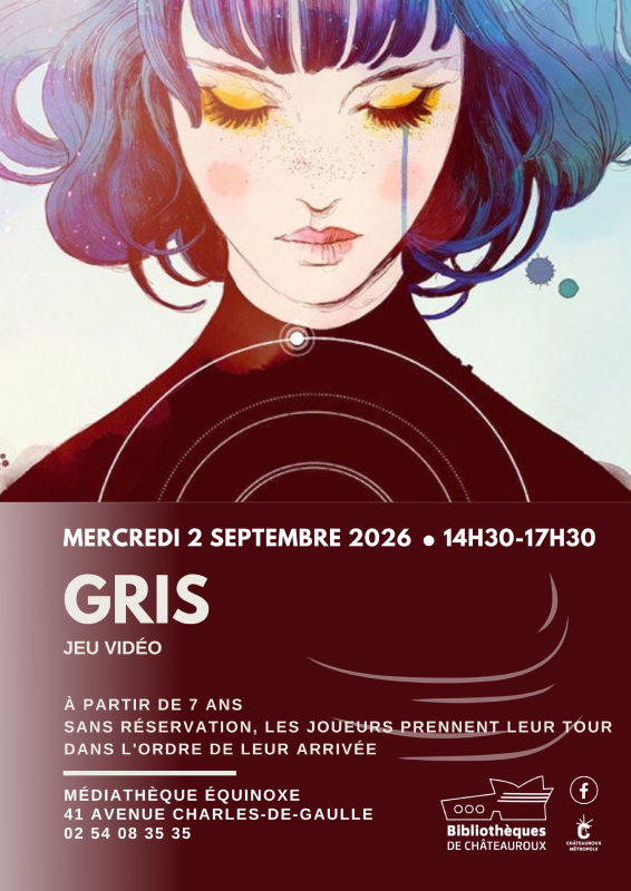 Jeu Vidéo : Gris
