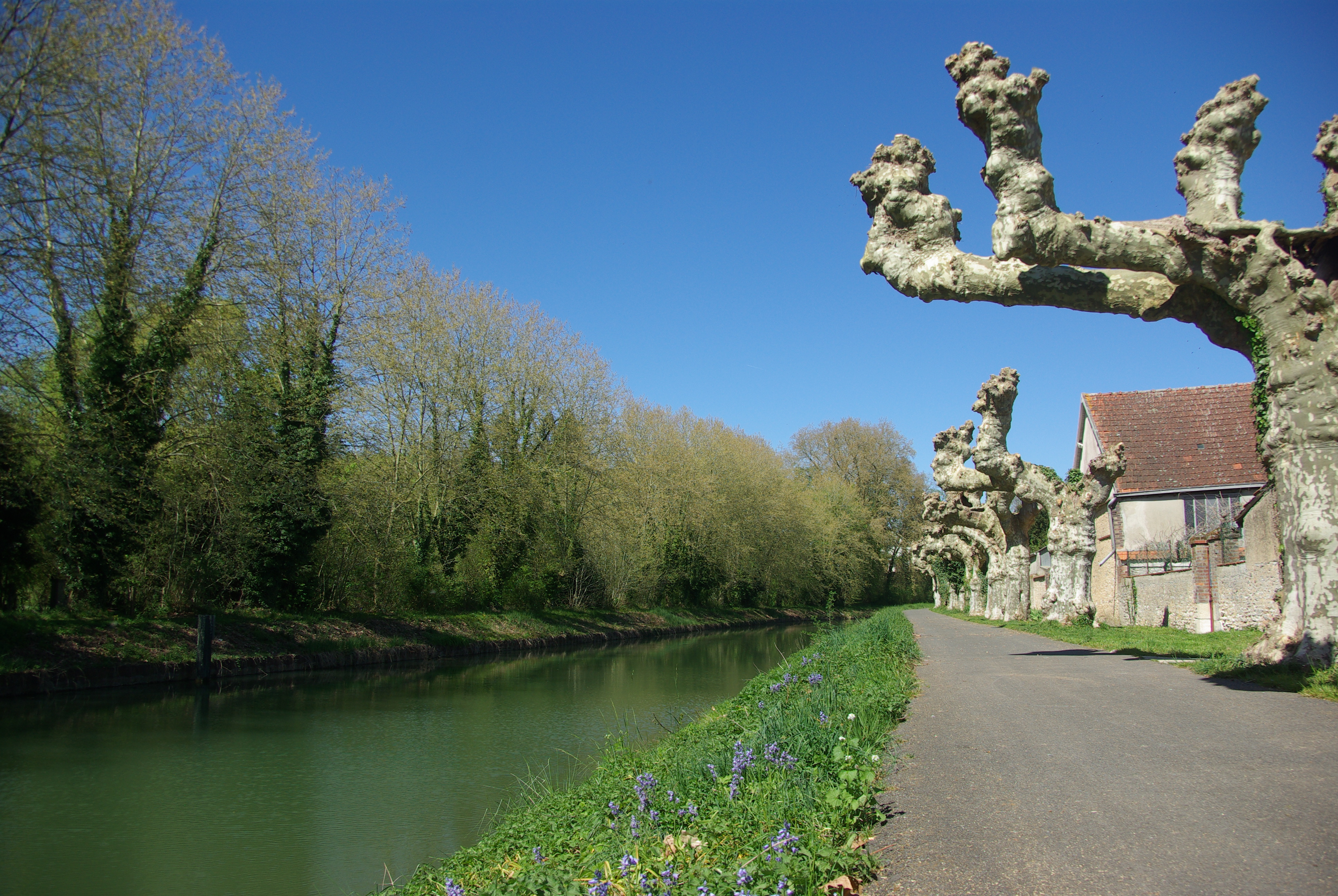 Canal de Briare